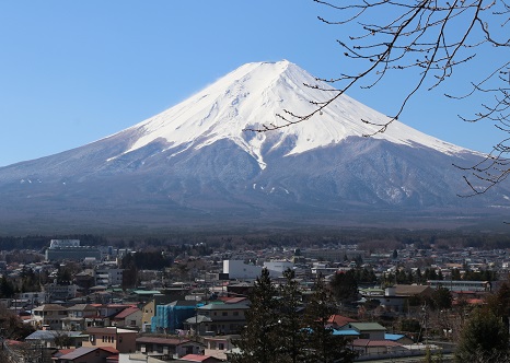 Japan Mt. Fuji Tourism Tour CITYLUX