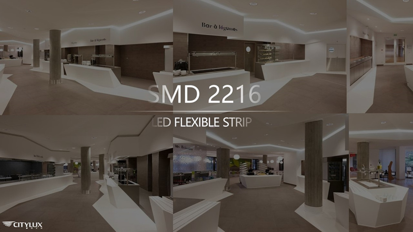 5-Year Warranty SMD 2216 LED Flexible Strip